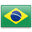 Portuguese Portuguese